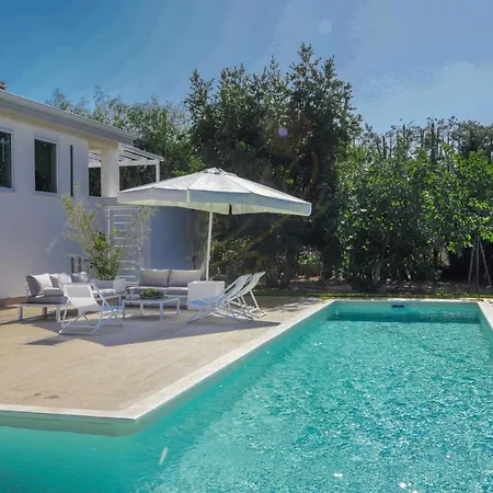 Cavuzzi *